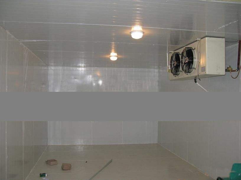 為什么商家一定要建冷庫？背后有多少利潤？